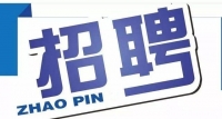 岱岳區(qū)政務(wù)服務(wù)中心招人啦！大專以上學(xué)歷，即日起報(bào)名